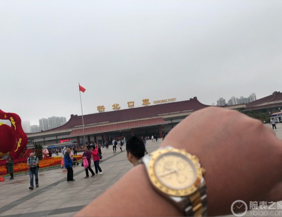 澳门剁手白金灰面迪通拿