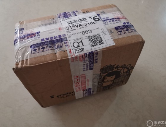 屌丝表友绿萝入手～