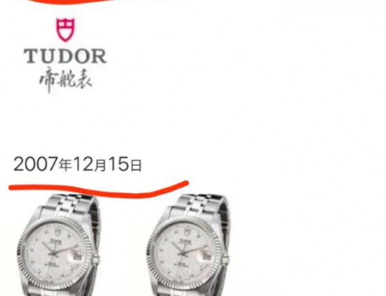 买了小兰盾。心心念念的Toudor