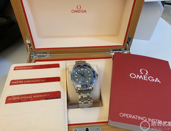 入手 OMEGA 新海马300 灰钢