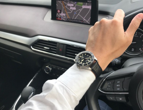新人报道， 入手Omega之经典。