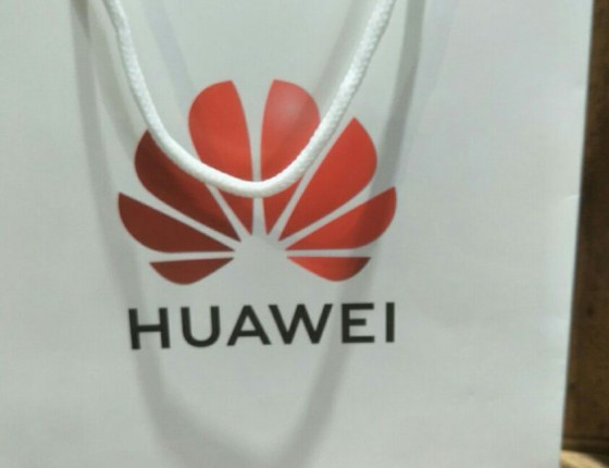 按耐不住骚动的心，终入海马灰盘