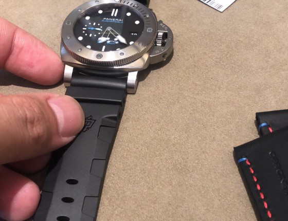 PAM01305-No.12