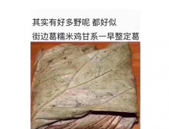 小孩子才做选择，成年人全都要「Defy购表作业」