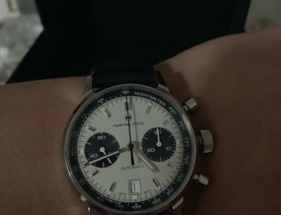 入手汉米尔顿熊猫🐼