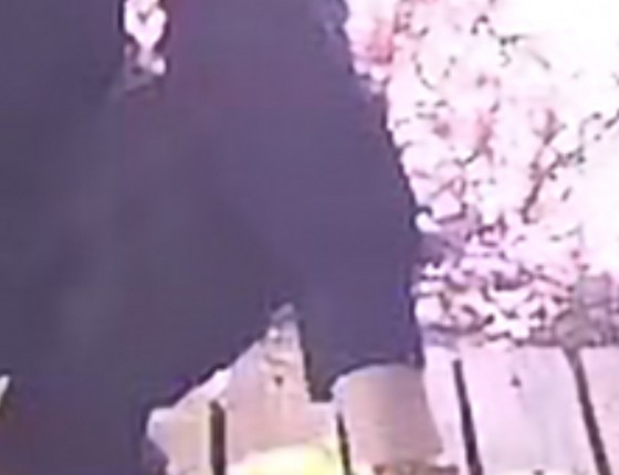 选择困难症患者，终提海洋宇宙8900