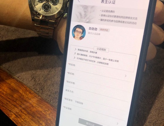 116509白金灰入手了，专家帮看看