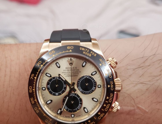 终入金迪，怎么拍都好看系列。