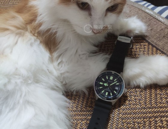 入手精工(SEIKO) 胶带蓝盘SPB053J1