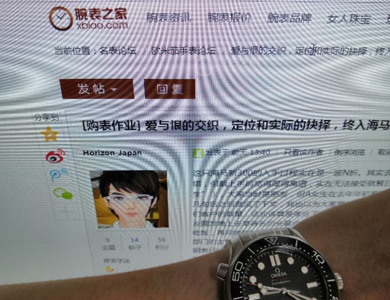 爱与恨的交织，定位和实际的抉择，终入海马新300