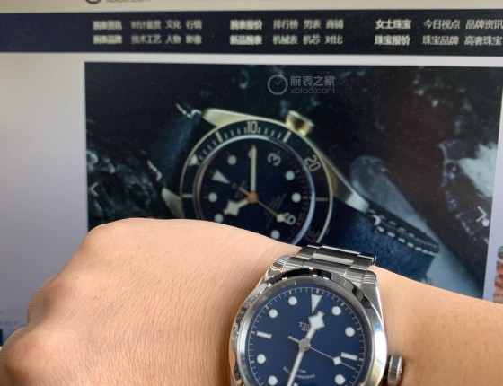 帝舵碧湾79540佩戴作业