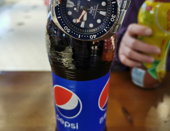 入手颇具颜值的精工可乐鲍