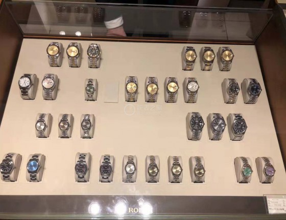 【认证贴】父亲的玫瑰间金绿萝与我的间金黑鬼