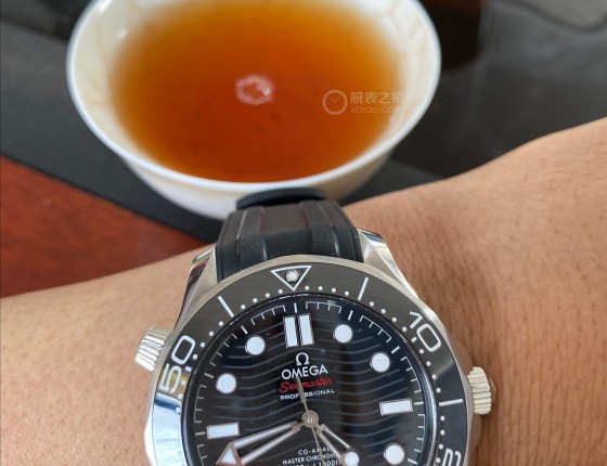 购入海马300