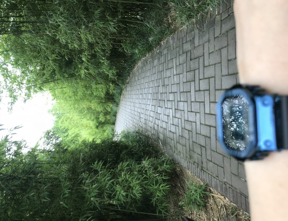 人生路漫漫～～最近迷上卡卡