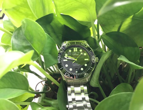 #我的海马周末# 有海马300相伴，这个夏天不太热。