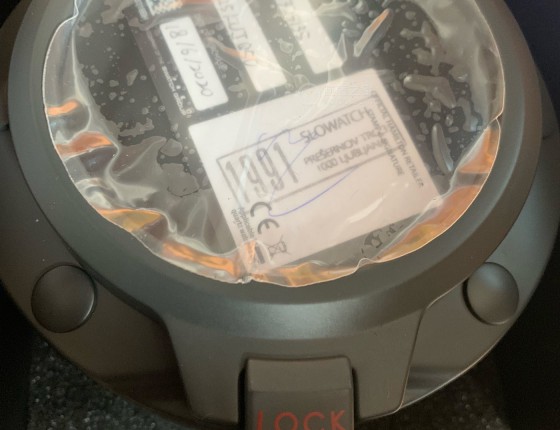 新入汉表红蛙一枚
