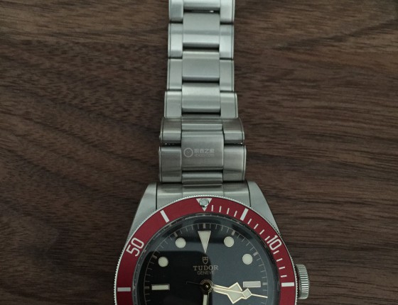 拥有Tudor 79230 小红盾的16个月