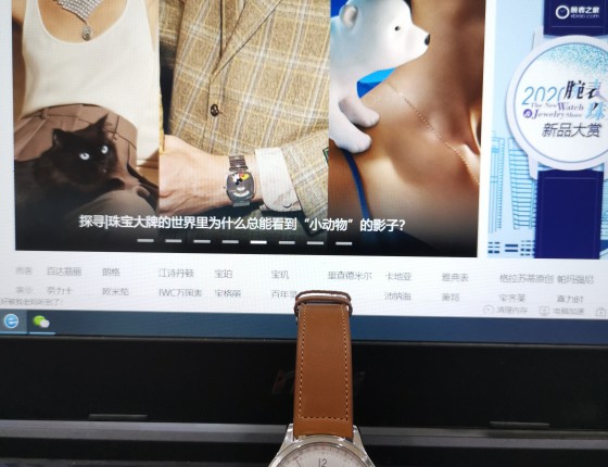 听说是本版第三块新款全历月相大师Q4148420