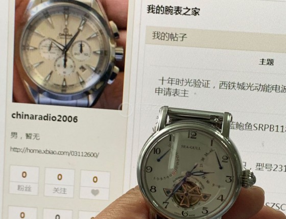 致敬国内手表经典，海鸥819.317机械表购入作业，申请表主认证