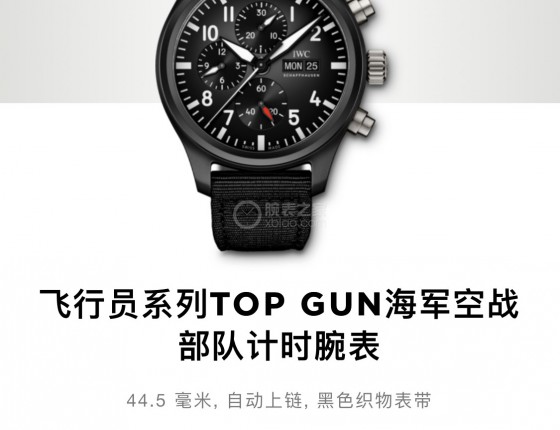 入手万国TOPGUN飞计