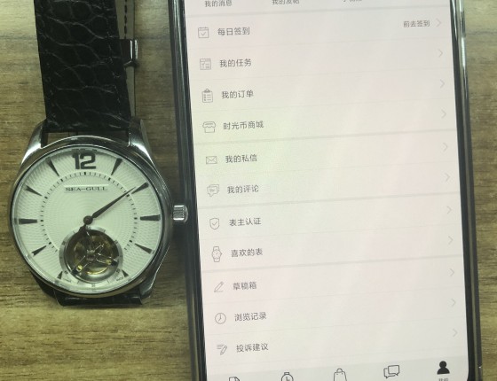 国货之光，海鸥8810陀飞轮