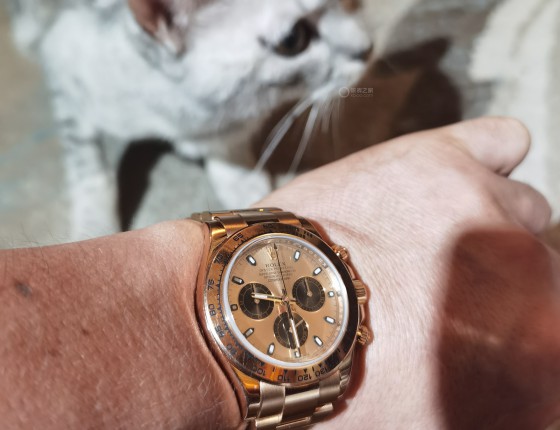 玫瑰金熊猫迪m116505-0009补个贴