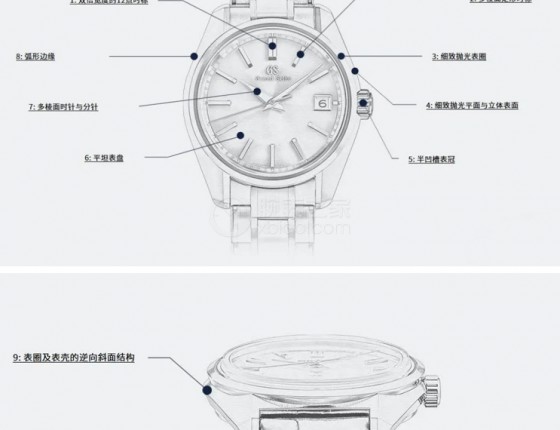 蓝盘红针金星金币——SBGP007G购表作业