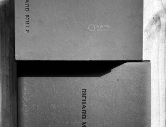 两天，误打误撞冲动入手RM029