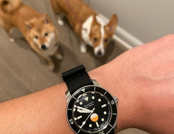 到了！2020版小太阳 BP x HODINKEE MIL-SPEC
