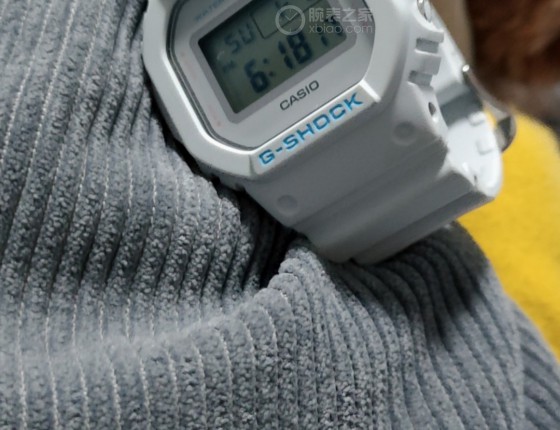卡西欧DW-5600SC认证