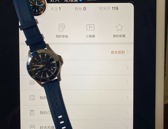 14岁，汉米尔顿卡其海军