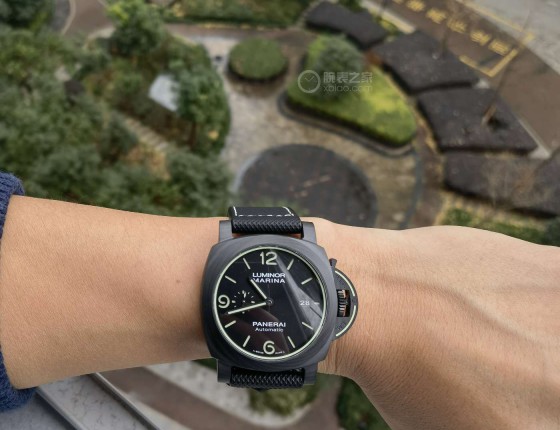 PAM01122难道是中国第一只