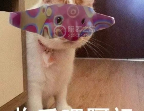 入手宇联阿祖