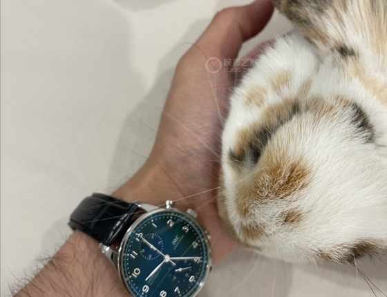 iwc绿海王置换老葡计