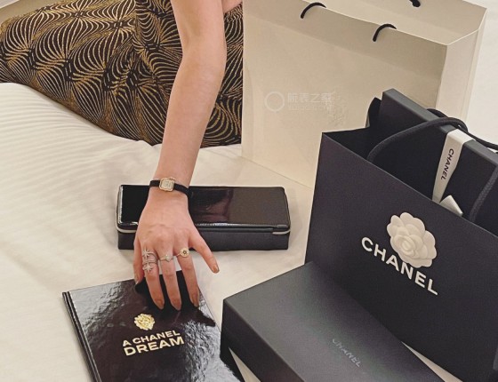 （多图）误入CHANEL店铺 购入CHANEL PREMIERE 冰糖丝绒满天星