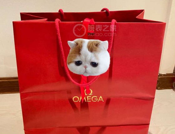 入手半月有余  来个认证吧