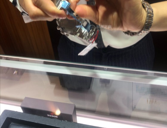 阴差阳错入手帝舵白熊猫