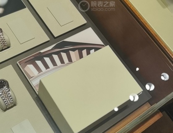 运气不错 入手间金绿萝（玫瑰金）