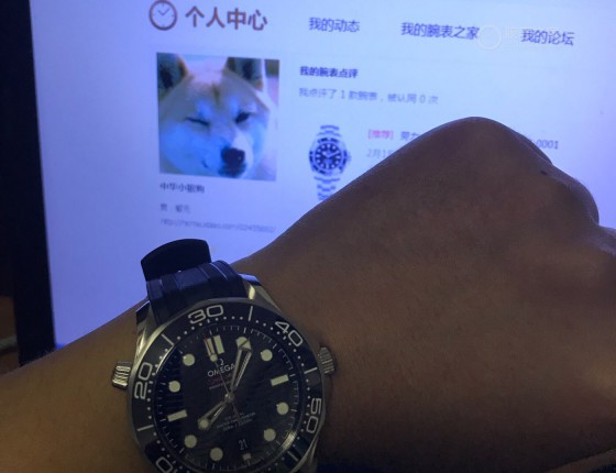 欧记（新海马300）