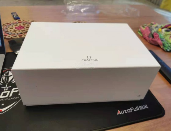 我的第一块机械表，海马300间金款