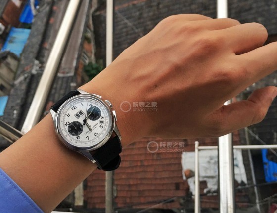 购表一周出坑豪利时瓦登海，入手帝舵钢盾79730
