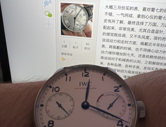 钟情万国，最爱葡七