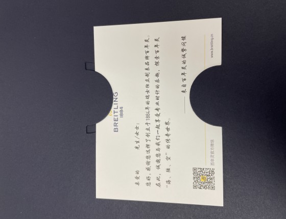 双十一剁手第一单---入手百年灵复仇者