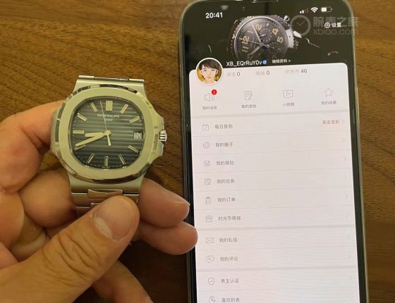 结缘鹦鹉螺