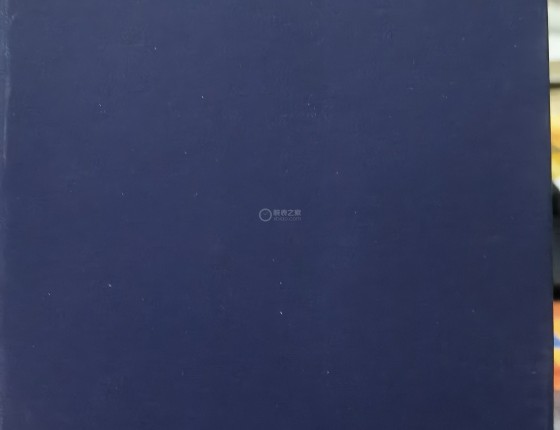 海鸥海洋之星Pro蓝色-提表作业