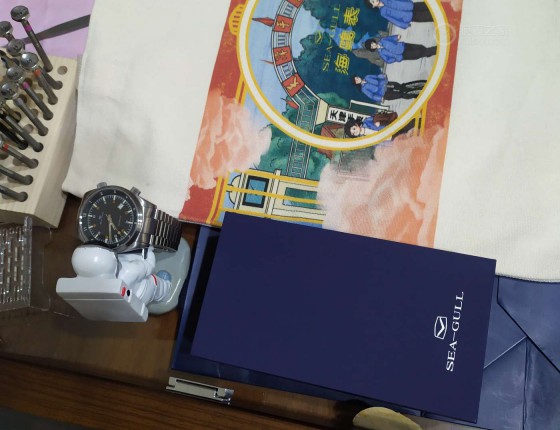我的第二块国表，海鸥816.582。