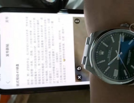 蚝式恒动41绿盘
