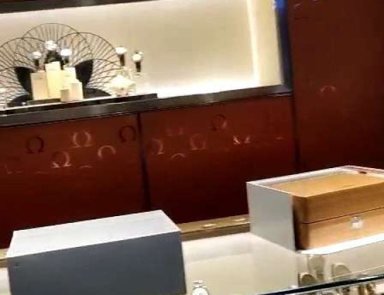 入手欧米茄新海马300，认证表主