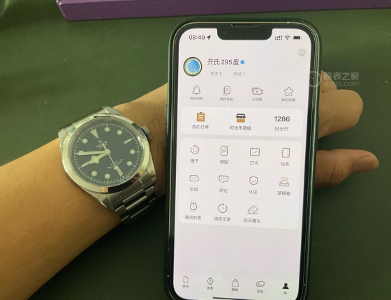帝舵碧湾79540认个证